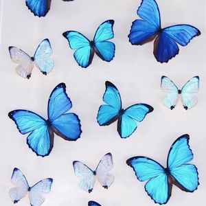 Meet your Posher, Kadence